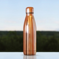 The Steel Bottle   Rose Gold